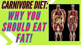 Carnivore Diet: Why You Should Eat Fat!