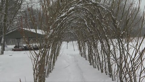 Things to do during mid-winter break: Exploring nature at Beaver Meadow