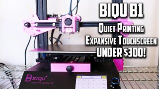 BIQU B1 3D Printer Review