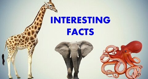 Interesting Facts You should Know About Animals | Birds | Insect