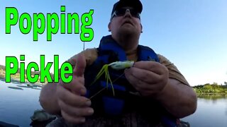 Popping Perch Review