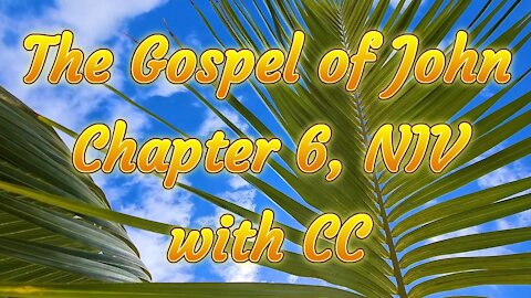 The Holy Bible - The Gospel of John Chapter - 6 - (Audio Bible - NIV)