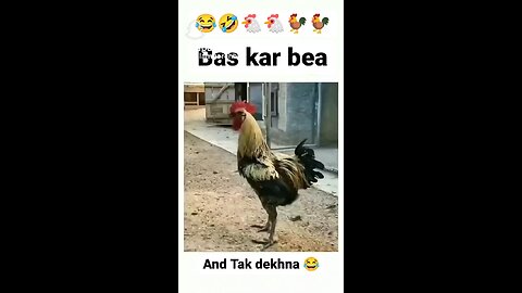 Cock 😂😂💥💥