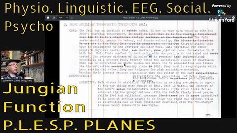 #Fe_Sx Profile Update & P.L.E.S.P. Planes of Jungian Functions [AFTER-SOCIONICS: Ep 7]