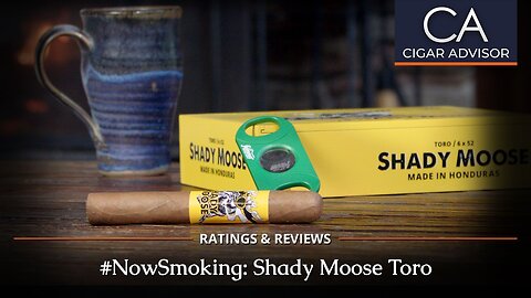 Chillin’ Moose Shady Moose Review