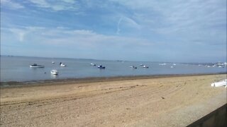 The Road Less Travelled - Shoebury (Southend-on-Sea), Essex