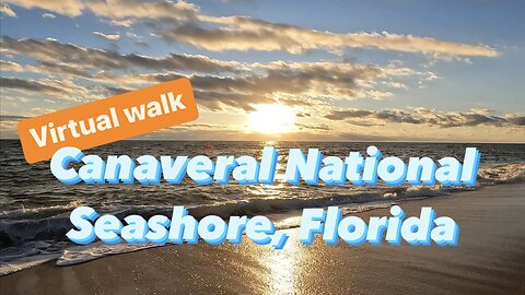 :30 Virtual Walk on Canaveral National Seashore’s Beach During Sunrise