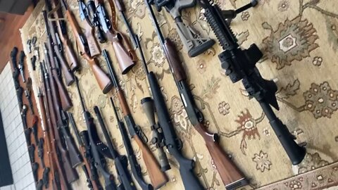 My Gun Collection