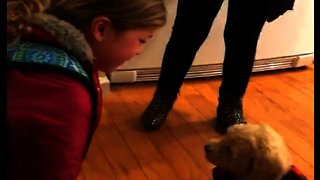 Little girl cries tears of joy after puppy surprise