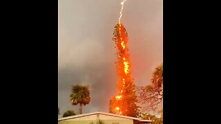 Insane! The Exact Moment Lightning Hits A Tree