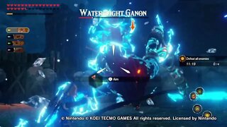 Link vs. Waterblight Ganon