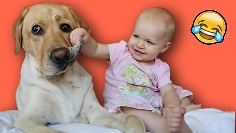 Cute Babies Playing With Pets - Funny Baby and Pet