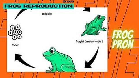 How Do Frogs Reproduce || Watch To Learn