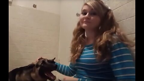 Wendy Wisconsin's "10 reasons why women should have sex with dogs" video