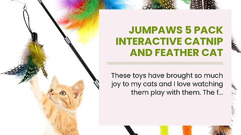 Jumpaws 5 Pack Interactive Catnip and Feather Cat Toys, Multi-Colored Mice with Long Feather Ta...