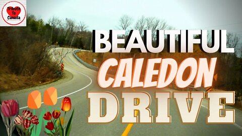 Beautiful Caledon, ON Drive || Old Church Road || Relaxing, Cinematic Music