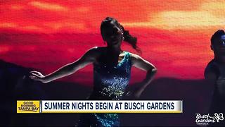 Busch Gardens Tampa Bay kicks off 'Summer Nights' with party zones, later hours and more