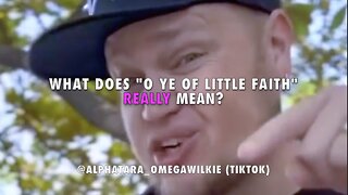 What does "O Ye Of Little Faith" REALLY Mean? @alphatara_omegawilkie