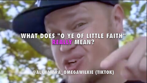 What does "O Ye Of Little Faith" REALLY Mean? @alphatara_omegawilkie