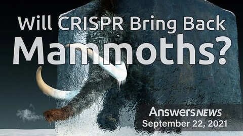 Will CRISPR Bring Back Mammoths? - Answers News: September 22, 2021