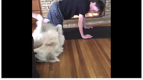Motivated Dog Decided To Workout With His Owner