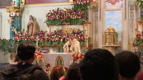 Viva Our Lady of Guadalupe celebration 2021