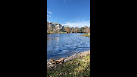 Beautiful spots in Orlando to Longboard