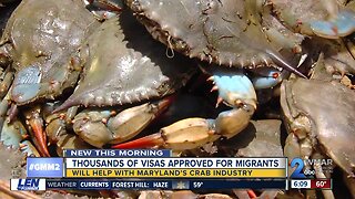 Hogan praises approval of visas to support crab industry