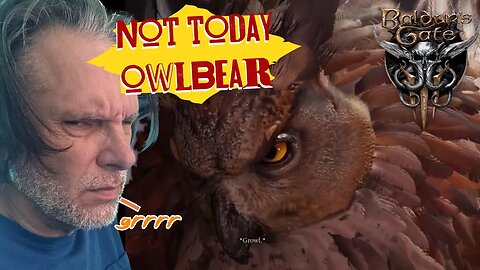 Baldur's Gate 3 the Owlbear Fight: Not Today