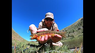 Fly fishing for gold.