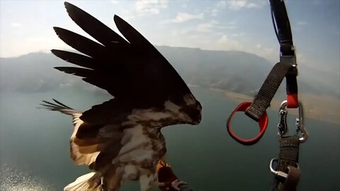 The Most Extreme Paragliding Experience
