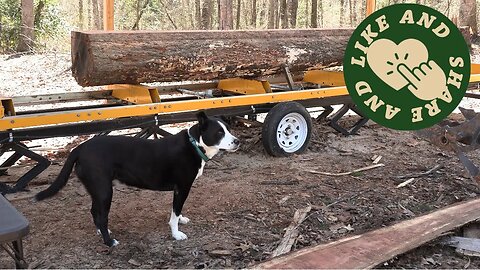 Frontier Sawmill: Red Oak Lumber for Greenhouse