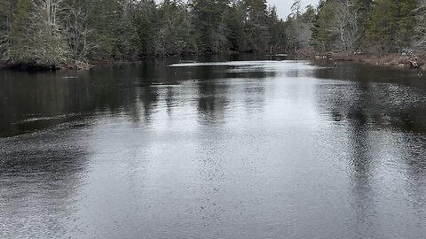 A Lake along A 101 Highway In Annapolis County NS.