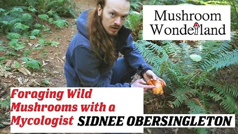 Foraging Wild Mushrooms with a Mycologist- Sidnee Obersingleton