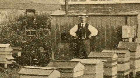 The Apiary At The Railway-Crossing Cottage, Compton, Berkshire