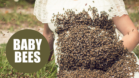 Mother who covered her baby in bees suffers a still born