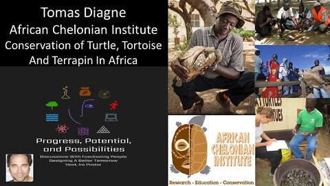 Tomas Diagne - African Chelonian Institute - Conservation of Turtle, Tortoise And Terrapin In Africa