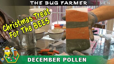 Christmas Pollen Patties for the Bees - winter feeding colored pollen patties for the bees Christmas