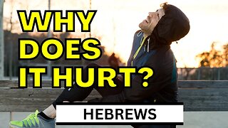When It Hurts | Hebrews 12:4-11