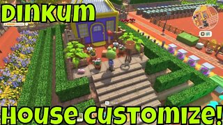 Dinkum House Customizing!