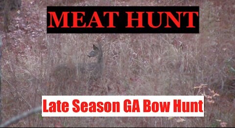 Middle Georgia PUBLIC LAND Bow Hunting: Big Doe Down!
