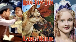 LAW OF THE WILD (1934) Rex, Rin Tin Tin Jr. & Ben Turpin | Action, Crime, Western | B&W