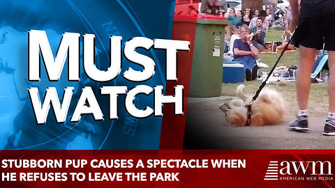 Stubborn pup causes a spectacle when he REFUSES to leave the park