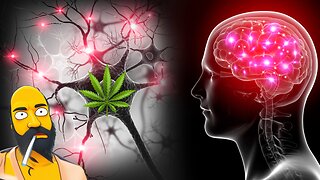 How Cannabis (Weed) Affects Dopamine