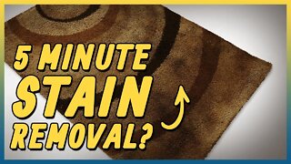 The Mysterious Stain That Beat Me | Satisfying Video | Carpet Cleaning