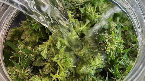 How to Water Cure Marijuana