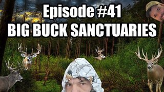 Episode #41 - Big Buck Sanctuaries