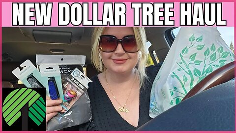 DOLLAR TREE | NEW FINDS | CAR HAUL | SPRAKLY FINDS | #dollartree #dollartreehaul