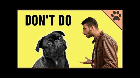 What Dogs HATE The Most - Worst 10 Things