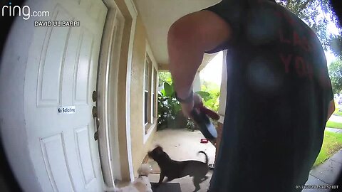 Video shows dog attacked at Tampa home, leaving owner with medical bills
